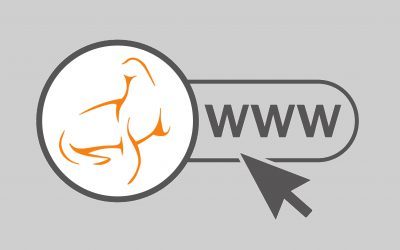 Een nieuwe website