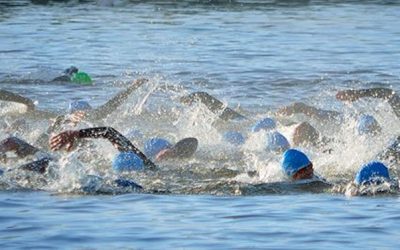 Open Water zwemmen 2022